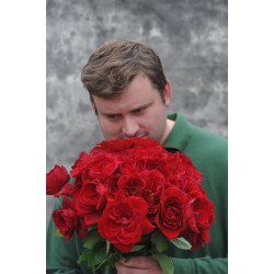 Roses for Autism