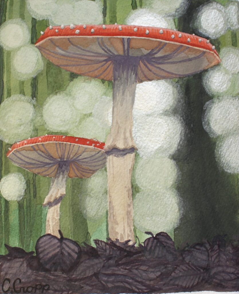 Mushrooms in the Forest by Artist Caitlin Cropp
