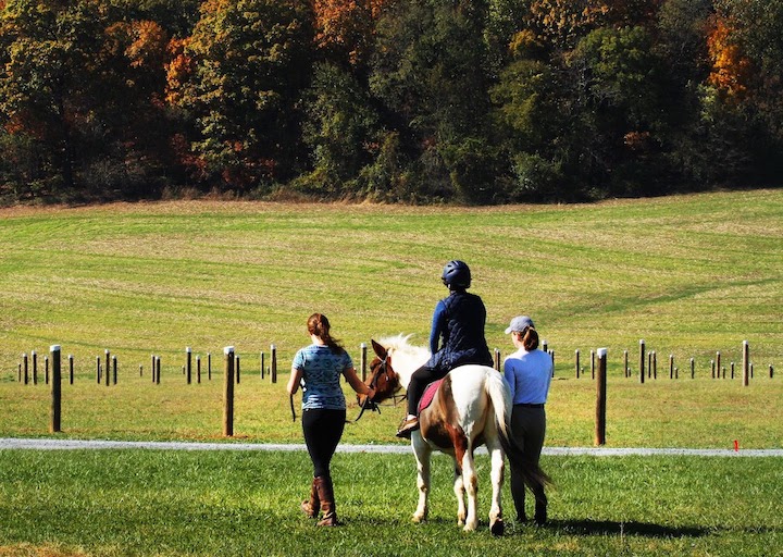 A big open, green field with two individuals walking on either side of a horse and one individual riding the horse, viewed from their backs.