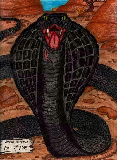 Mixed media drawing of a black snack showing it's fangs