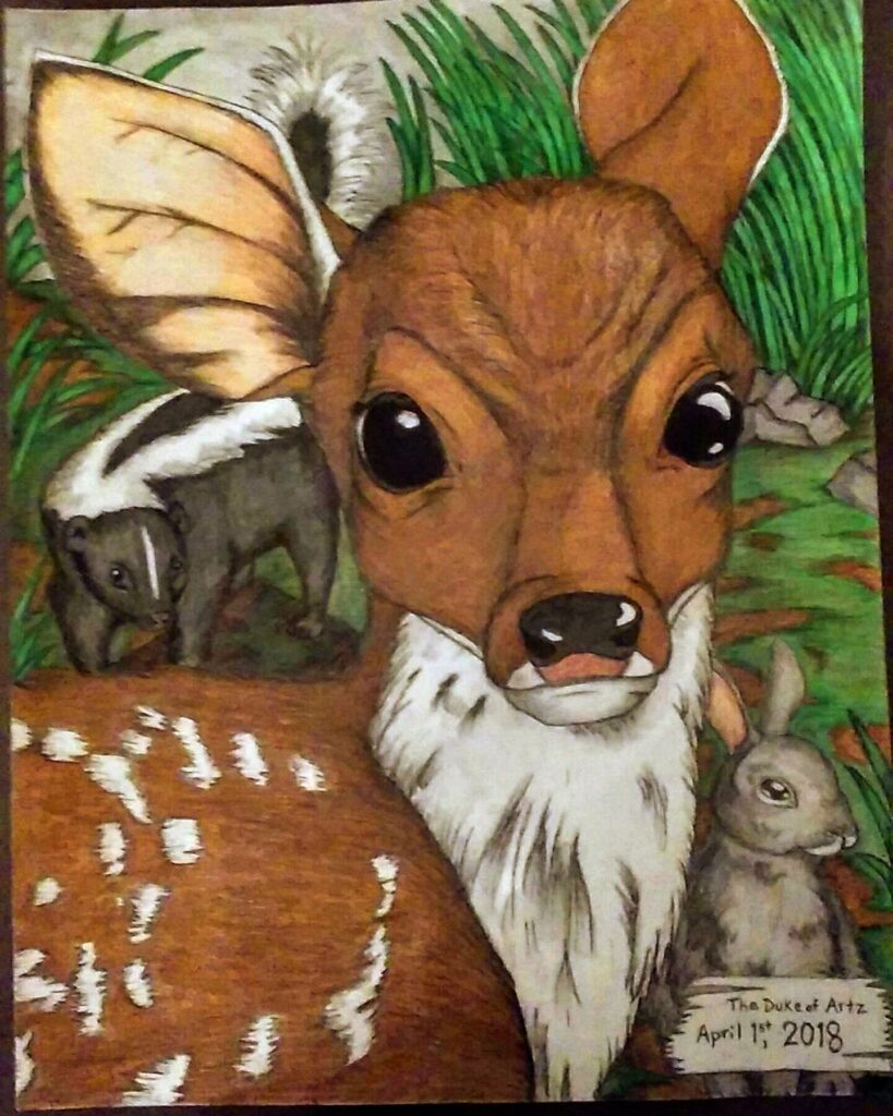 Mixed media drawing of a fawn